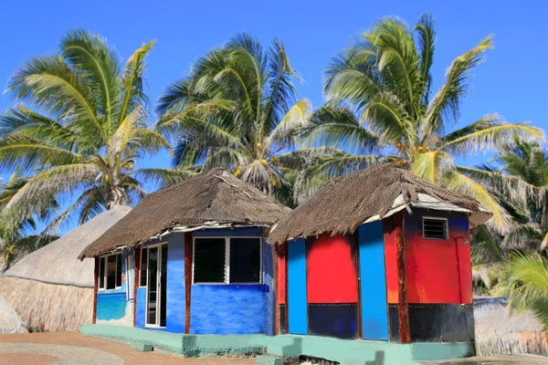 Cabana palapa palmeiras tropicais coloridas — Fotografia de Stock