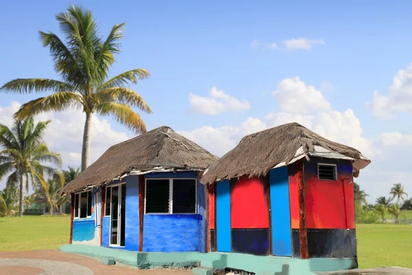Kunyhó palapa színes trópusi kabin pálmafák — Stock Fotó