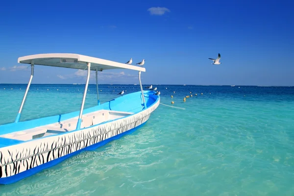 Gaviotas barco azul Caribe mar turquesa — Foto de Stock