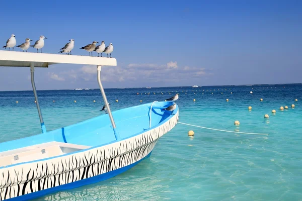 Gaivotas de barco azul mar azul-turquesa caribenha — Fotografia de Stock