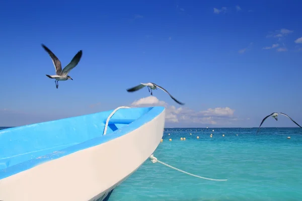 青いボート カモメ カリブ海のターコイズ ブルーの海 — ストック写真