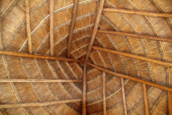 Palapa 热带墨西哥木小木屋屋顶详细信息 — 图库照片