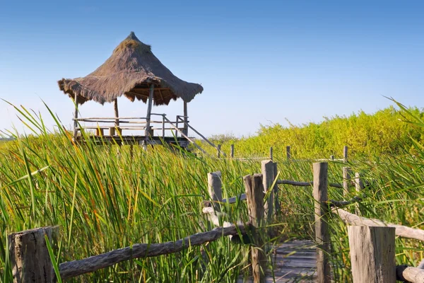 Hut palapa in mangrove reed wetlands — Stock Photo, Image