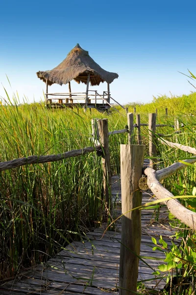 Hut palapa di alang-alang rumput bakau — Stok Foto
