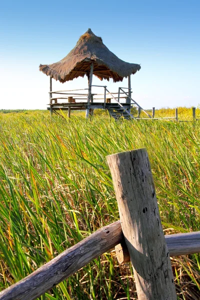 Hut palapa in mangrove reed wetlands — Stockfoto