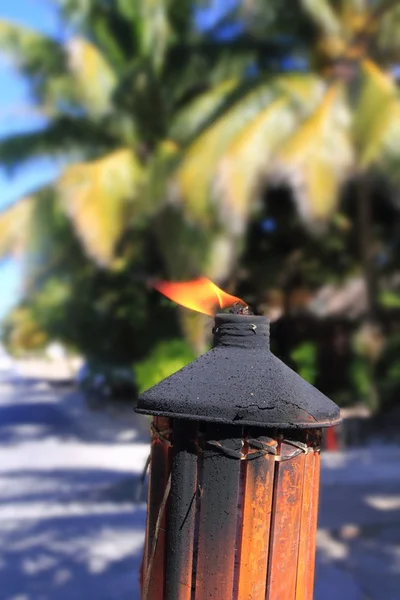 Fire torch flame in tropical palm tree jungle — Stock Photo, Image
