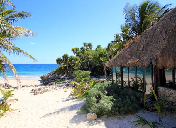 Coconut palm träd palapa hut beach — Stockfoto