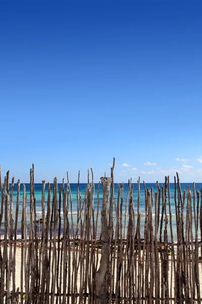 Recinzione bastone di legno nel mare caraibico tropicale — Foto Stock