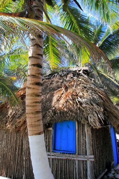 Hindistan cevizi hurma ağaçları palapa kulübe beach — Stok fotoğraf
