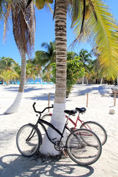 Biciclette bici su palma da cocco spiaggia caraibica — Foto Stock