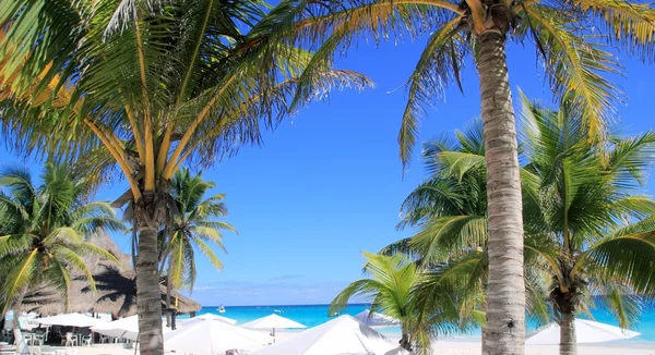 Karibik tropischer Strand weißer Sonnenschirm Kokospalme — Stockfoto