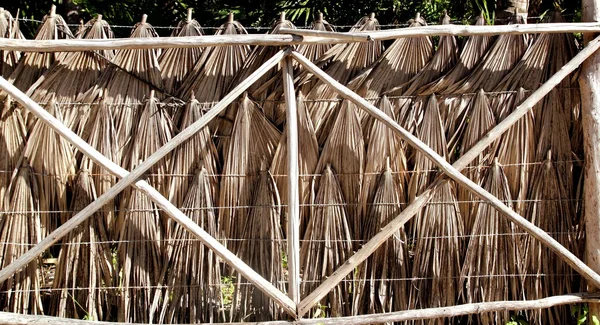 Tropische hek palm tree bladeren en houten kisten — Stockfoto