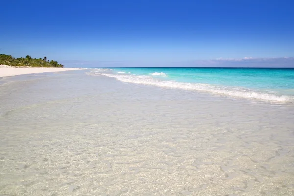 Пляжний рай білий пісок бірюзовими Тулум — стокове фото
