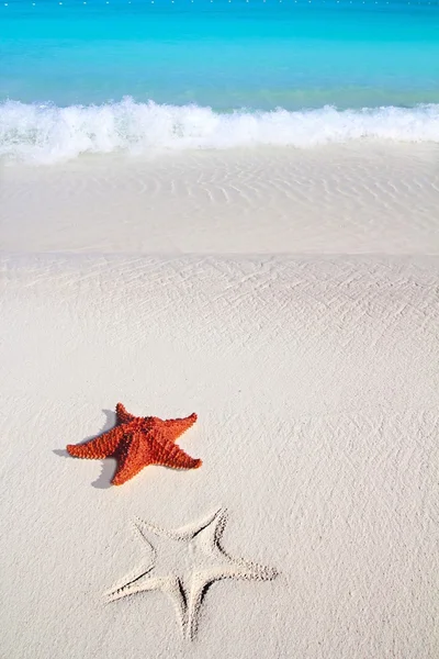 Caribe estrela do mar areia tropical praia azul-turquesa — Fotografia de Stock