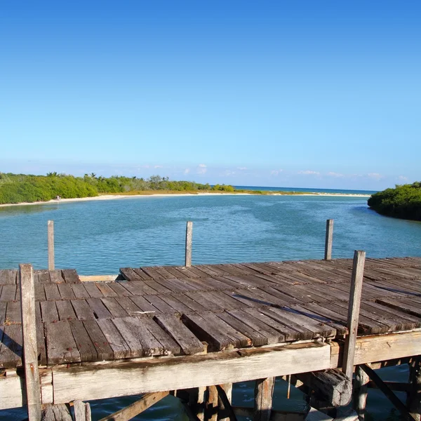 Yaşlı tropikal ahşap köprü sian kaan tulum — Stok fotoğraf