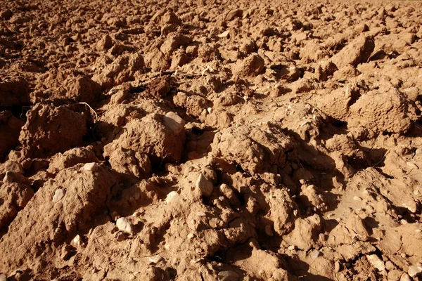Красно-глинистая почва — стоковое фото