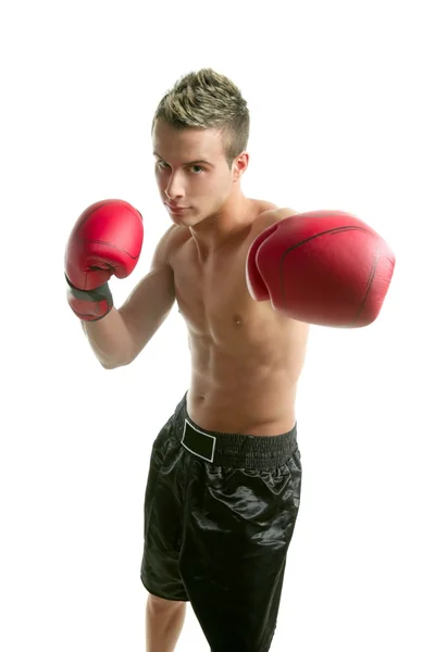 스튜디오에 고립 된 젊은 권투 선수 남자 — 스톡 사진