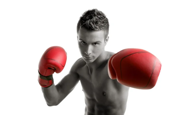 Jovem boxeador homem isolado no estúdio — Fotografia de Stock