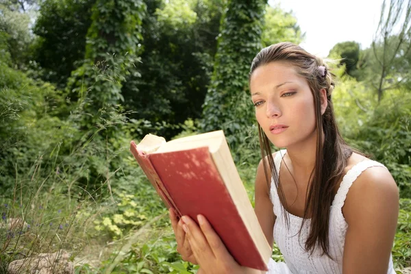 Mooie vrouw lezen van een boek in bos, natuur — Stockfoto
