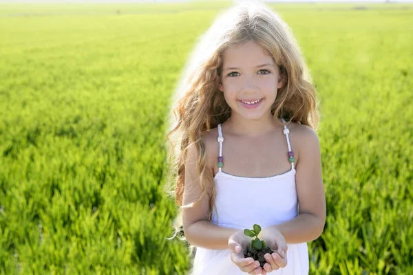 Sprout plant growing from little girl hands outdoo — Stock Photo, Image