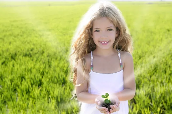 Planta broto crescendo a partir de mãos menina outdoo — Fotografia de Stock