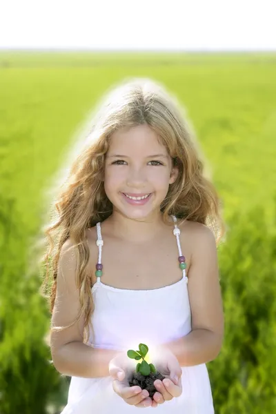 Spira växtodling från liten flicka händer — Stockfoto