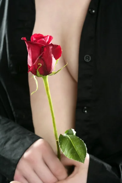 Krásná žena tělo drží červenou růži — Stock fotografie