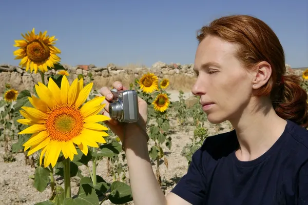 Leuke vrouw fotograaf in aard zonnebloem veld — Stockfoto