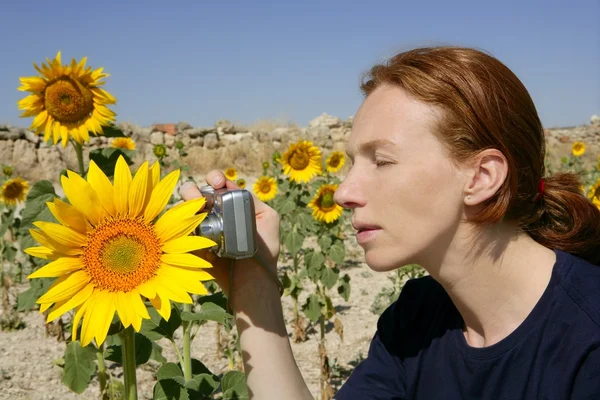 Cute woman photographer in nature sunflower field — Stock Photo, Image