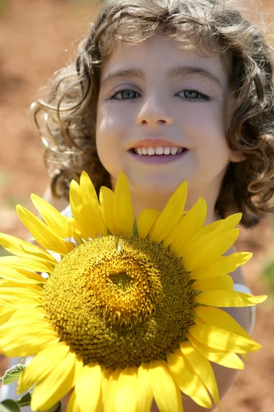 Güzel bir yaz ayçiçeği alandaki küçük bir kız — Stok fotoğraf