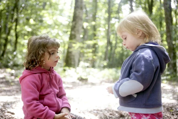Lillasyster två flickor i bokskogen — Stockfoto