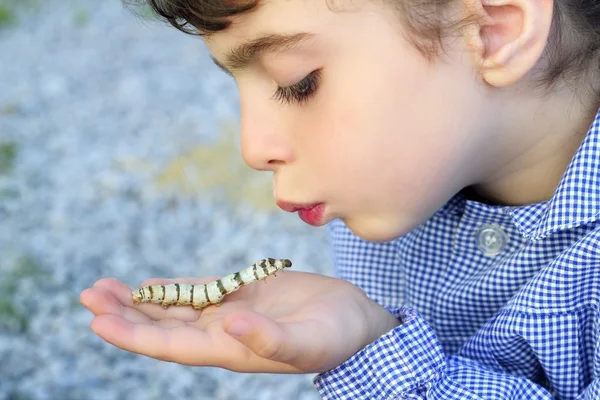 Küçük kız gerçekten ellerinize ipekböceği ile — Stok fotoğraf