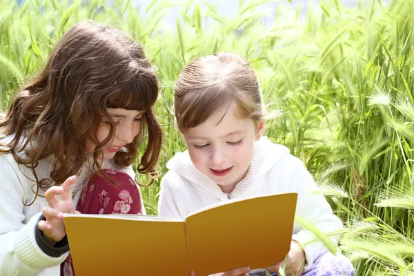 Tow little sister girls reading book spikes garden — Stock Photo, Image