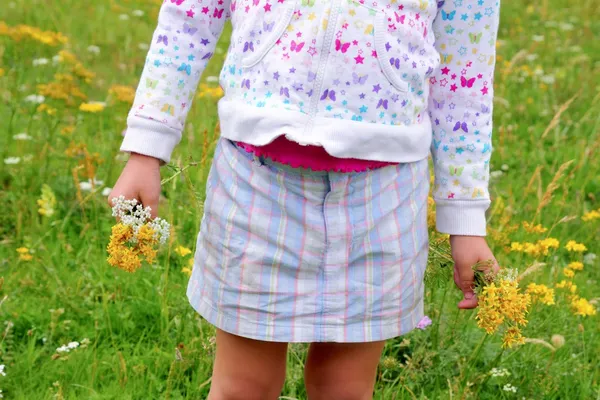 stock image Girl holding flowers in hand green meadow