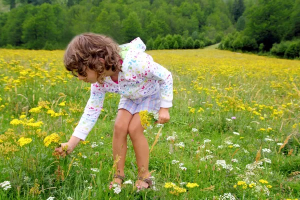 Meisje plukken bloemen in gele voorjaar weide — Stockfoto