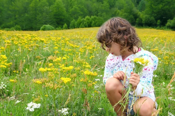 Lány szedés virágok sárga tavaszi rét — Stock Fotó