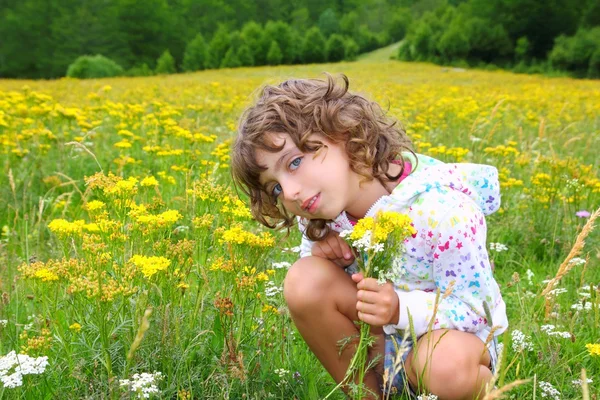 Chica recogiendo flores en el prado amarillo de primavera —  Fotos de Stock