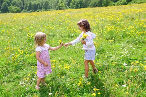Zuster meisjes in weide spelen met lente bloemen — Stockfoto