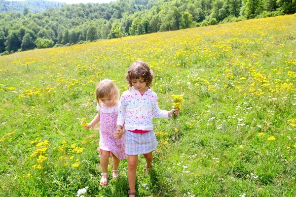 Húga lányok réten játszik a tavaszi virágok — Stock Fotó