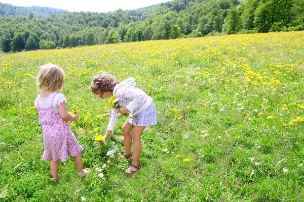 Sister girls in meadow playing with spring flowers — Stock Photo, Image