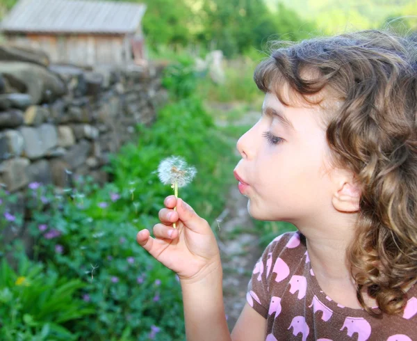 Soprando dandelion menina no rural verde ao ar livre — Fotografia de Stock