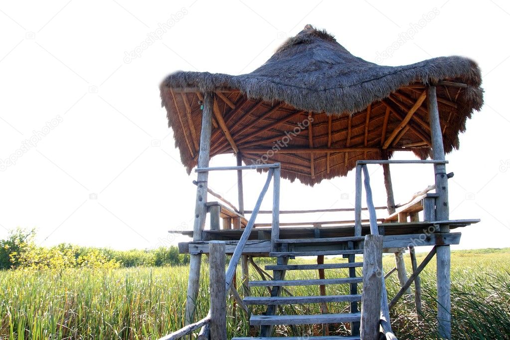 Hut palapa in mangrove reed wetlands