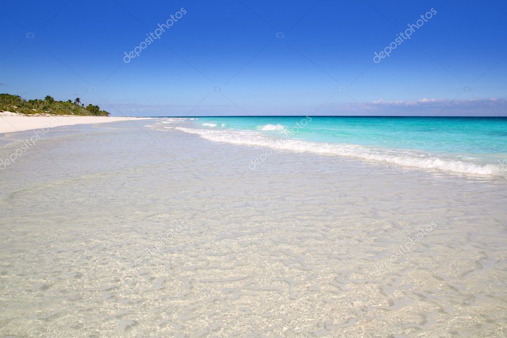 Plage Paradis Blanc Sable Turquoise Tulum Photographie