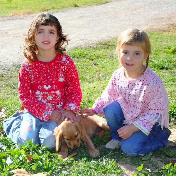 Two little girls sister friends golden retriever puppy dog — Stock Photo, Image
