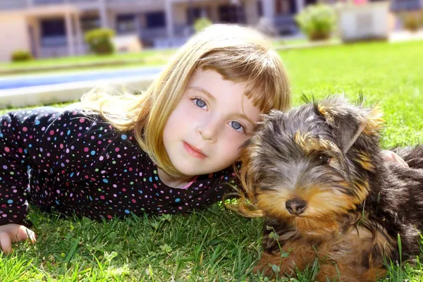 Perro mascota y niña pequeña retrato en jardín hierba parque —  Fotos de Stock