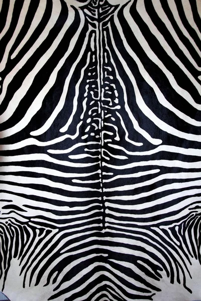 Pele de zebra animal listras de pele preto e branco — Fotografia de Stock