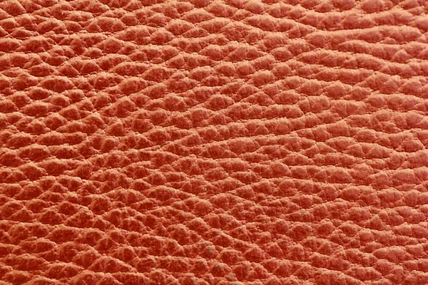 Brunt läder textur makro närbild — Stockfoto