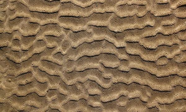 Homokos strand hullám mintás textúra barna, nedves — Stock Fotó