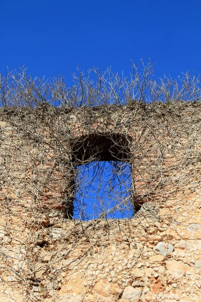Antigua ventana de la pared del castillo invadida por plantas trepadoras —  Fotos de Stock