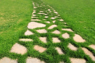 Stone path in green grass garden texture clipart